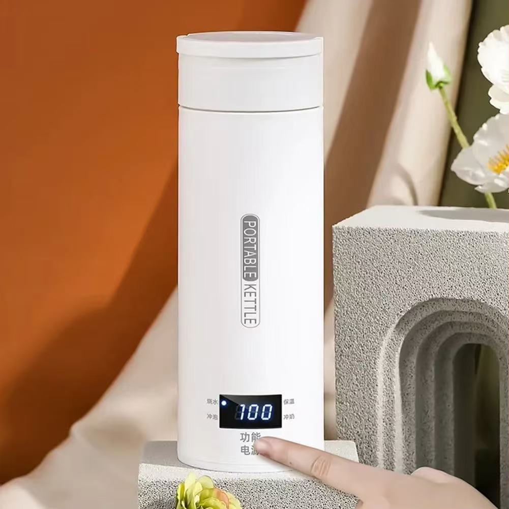 HOMEFISH 450ML Electric Kettle - Coffee Tea Menu review and price